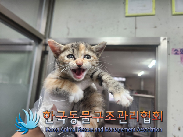 한국동물구조관리협회_441406202401901
